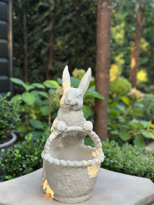 Image of Rabbit with Basket