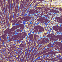 Image 1 of Twilight Garden