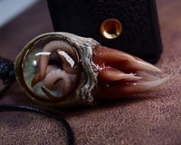 Image 18 of Nebula Hatchling Snaggletooth Pendant - Handmade,  2" OOAK
