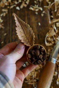 Image 3 of Cherry Leaf Scoop