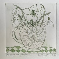 Image 1 of Snowdrops and Hellebores 