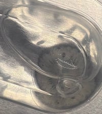 Image 1 of contacts spit Moonstone grey