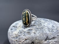 Image 1 of Ocean Jasper Statement Ring (size 8.5) v2