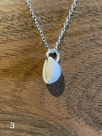 Image 3 of Devon Cowrie on Sterling Silver Chain
