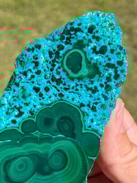 Image 11 of Malachite & Chrysocolla Polished Slab #2305