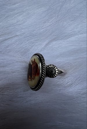 Image of Rope & Ride Ring
