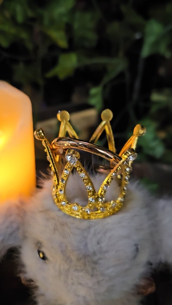 πThe Armored Kingdom Crowned Brown Snugglehop Bunny Keychain