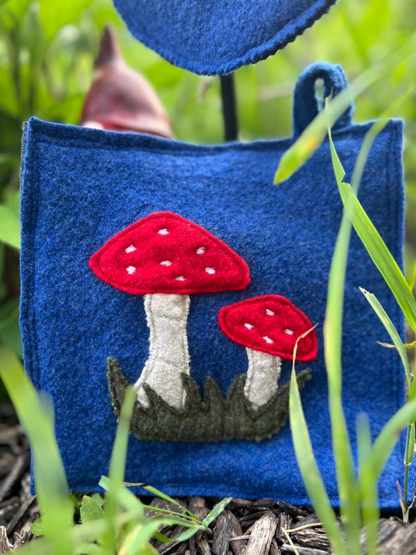 Image of Mushroom caps