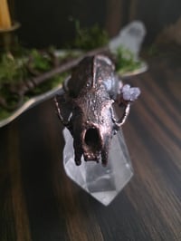 Image 5 of Mink Skull with Amethyst