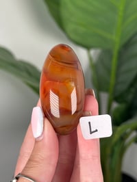 Image 12 of CARNELIAN SHIVAS