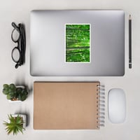 Image 1 of 'Technicolor Forest' Sticker
