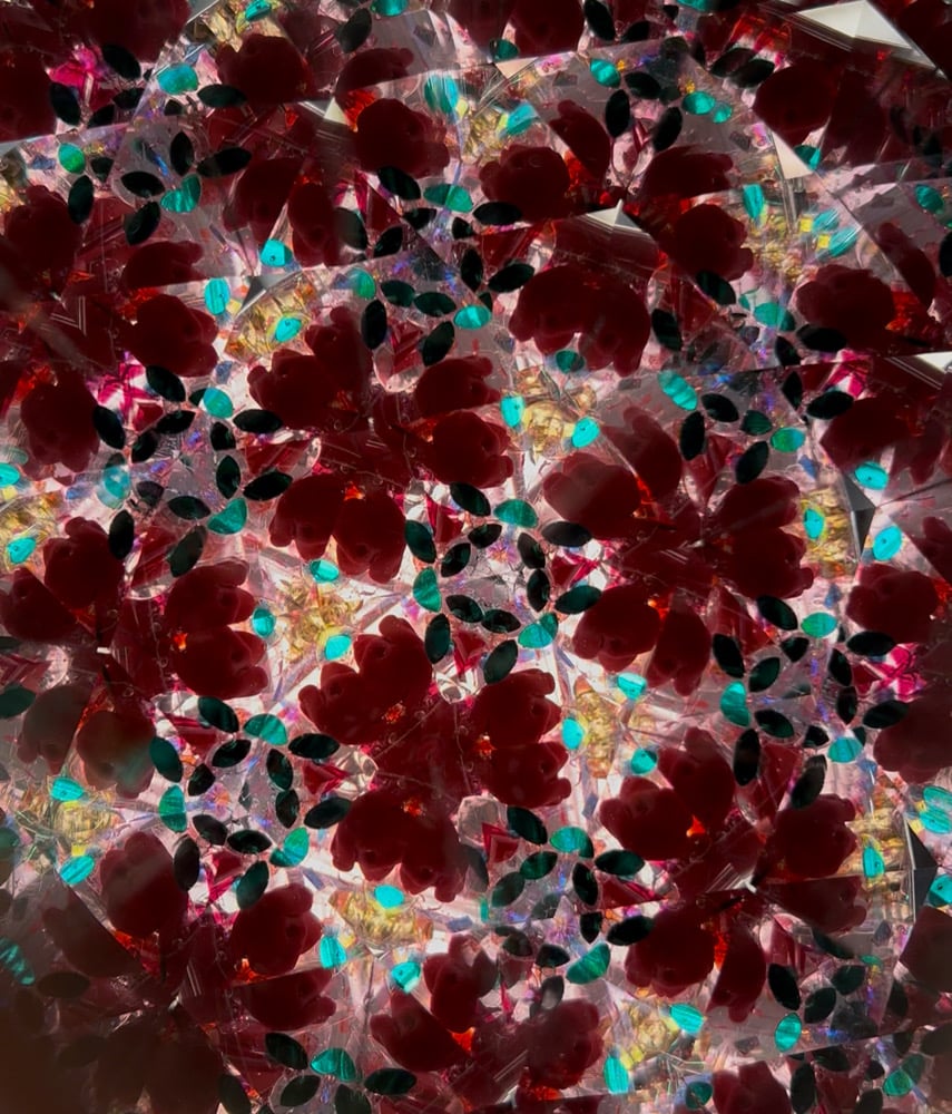 Image of Red Rose Garden AuraScope