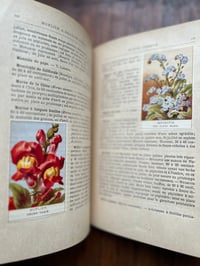 Image 7 of Le jardin d’agrément, L-J.Troncet, édition Larousse, 1908