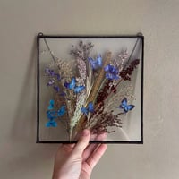Image 3 of Butterfly Effect