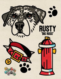 Image 2 of PET PORTRAIT FLASH SHEET