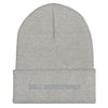 Cuffed Beanie