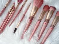Image 2 of Pink Set Dimond Brushes (10 Piece)