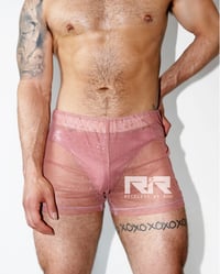 Image 1 of THE DIRTY ROSE SHORTS