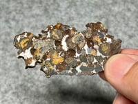 Image 1 of Rare Sericho Pallasite Meteorite Slice #2427