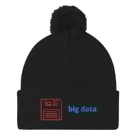 Big Data Pom-Pom Beanie