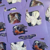 birds of prey sticker sheet