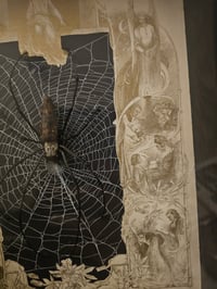 Image 4 of  Orbweaver taxidermy spider with 1800 Bible Page & Real Web