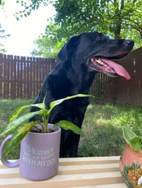 Image 2 of Dieffenbachia in Lilac "I'd rather be at home with my dog" Mug