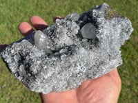 Image 23 of UV Calcite On Quartz Crystal With Chalcopyrite Specimen #1559