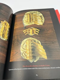 Image 2 of Anatomical Waxes. 45th Ed.