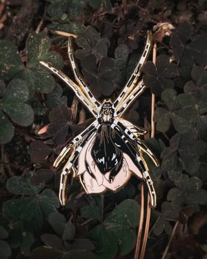 Rose Orb Weaver Pin 