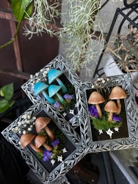 Image 2 of Small silver led mushroom frame