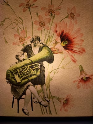 Image of Concierto entre las flores.