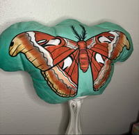 Image 3 of Atlas Moth Plushie