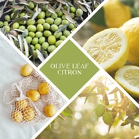 Image 2 of RECYCLED GLASS - OLIVE LEAF CITRON SOY WAX CANDLE