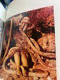 Image 3 of Kiyoshi Ikejiri- ORGANIZER N2, 1995. RARE