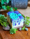 Succulent Garden ~ Goat Milk Soap