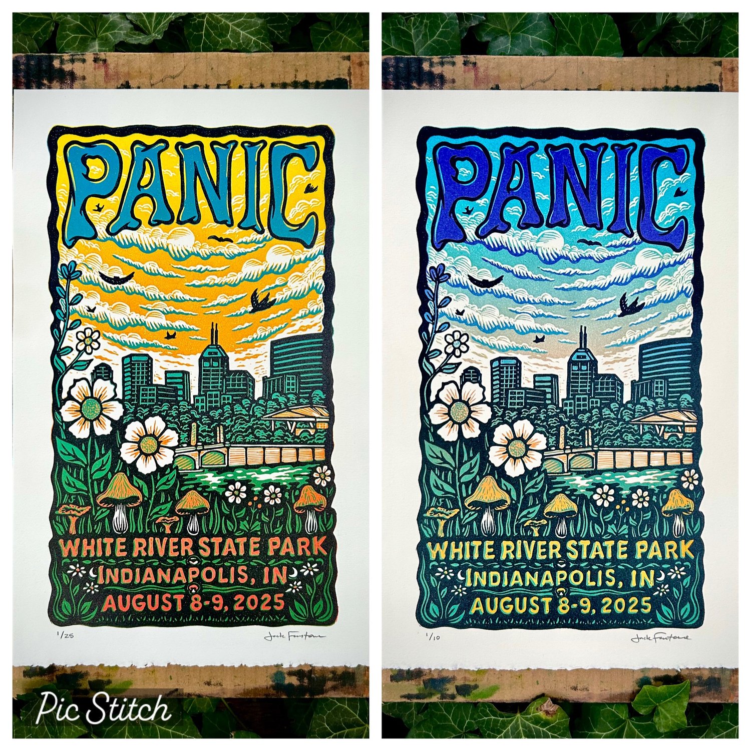 Image of Panic in the Park ‘25