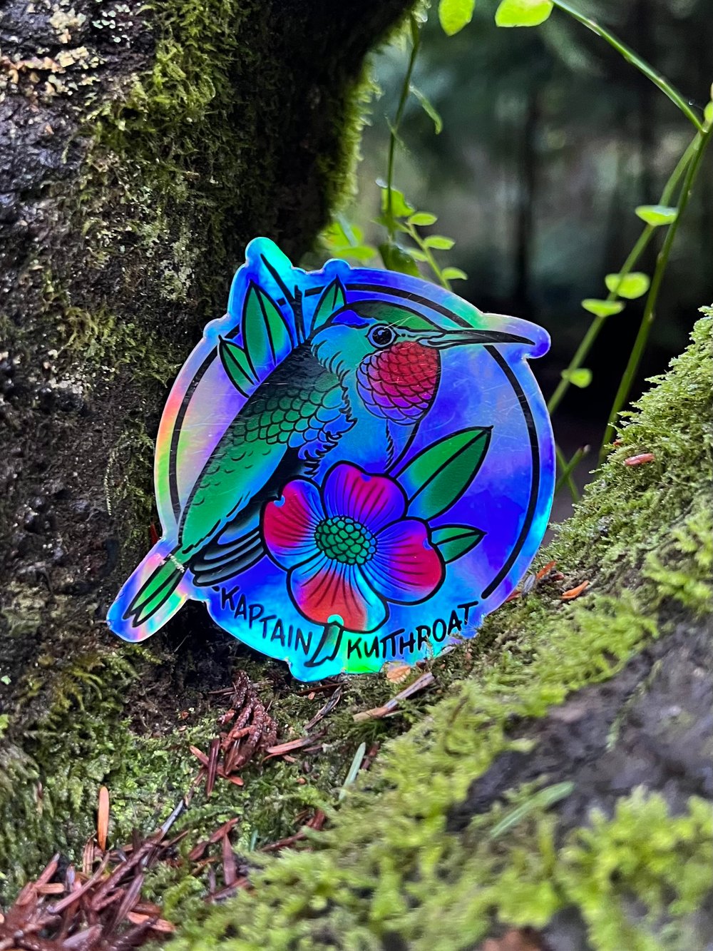 Hummingbird 