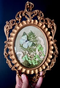 Image 3 of Green African Butterfly Botanical Frame
