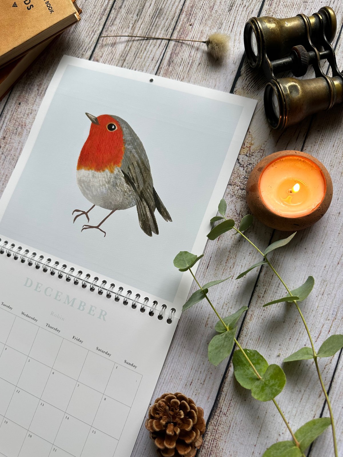 Feathered Friends 2024 Wall Calendar: Watercolor Bird