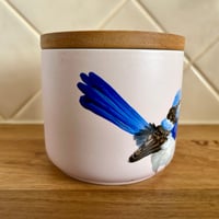 Image 3 of Pink Superb Fairywren Canister