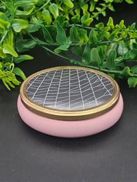 Image 1 of Oval pink Vintage ornate decorative pot with  Real Preserved Web 