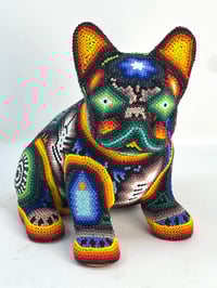 Image 1 of French Bulldog Puppy Vol 3 011