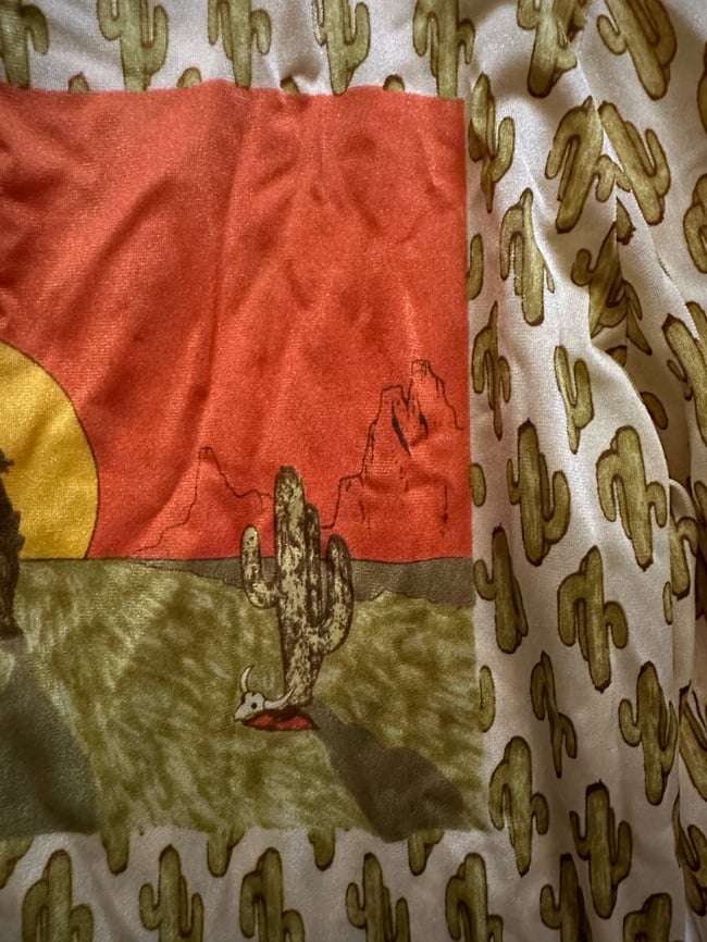 70s saguaro cactus blouse