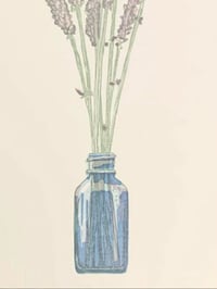 Image 2 of Jar of Sprigs