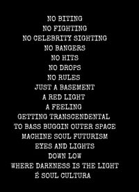 Image 2 of É Soul Cultura T - Shirt - No Biting, No fighting, No Celebrity Fighting. 