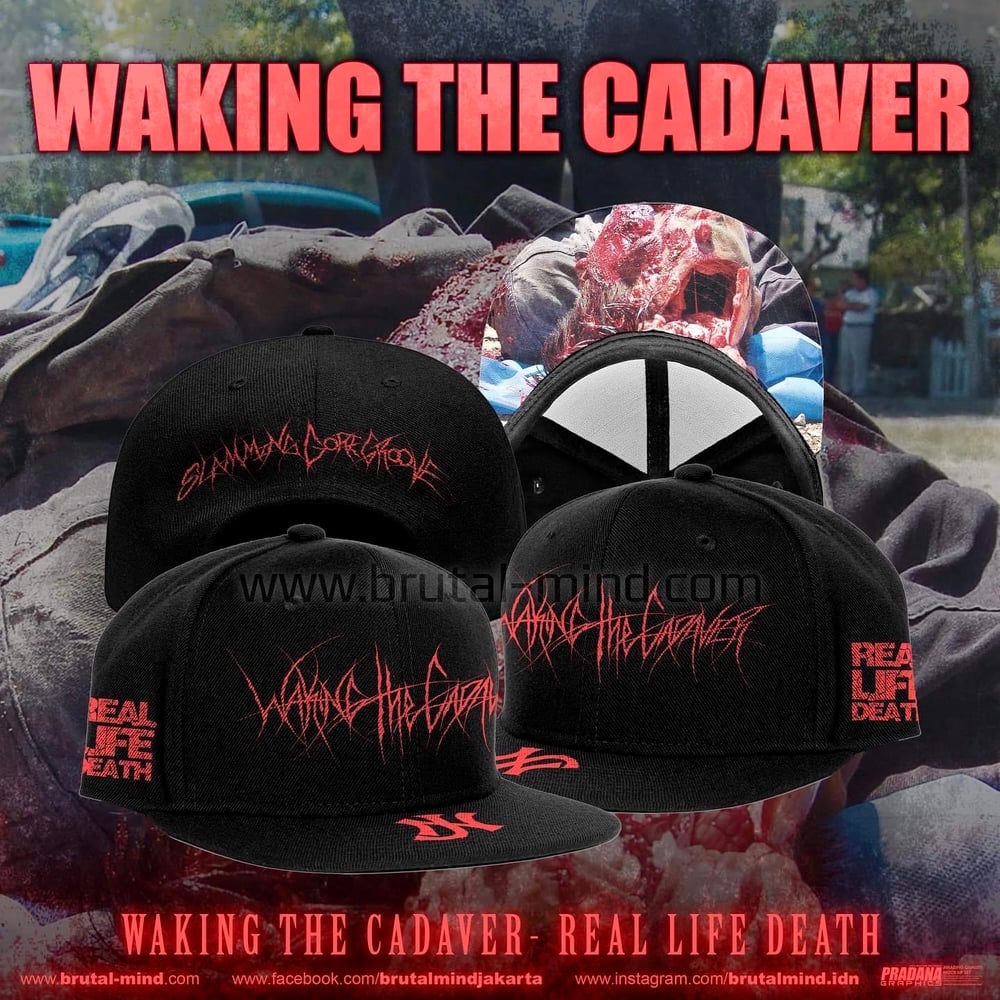 Waking The Cadaver - Snapback