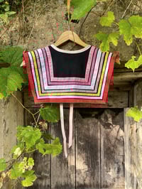 Image 2 of THE FABULOUS STAINS COLLAR