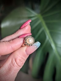 Image 17 of Contrast Glam Collection 