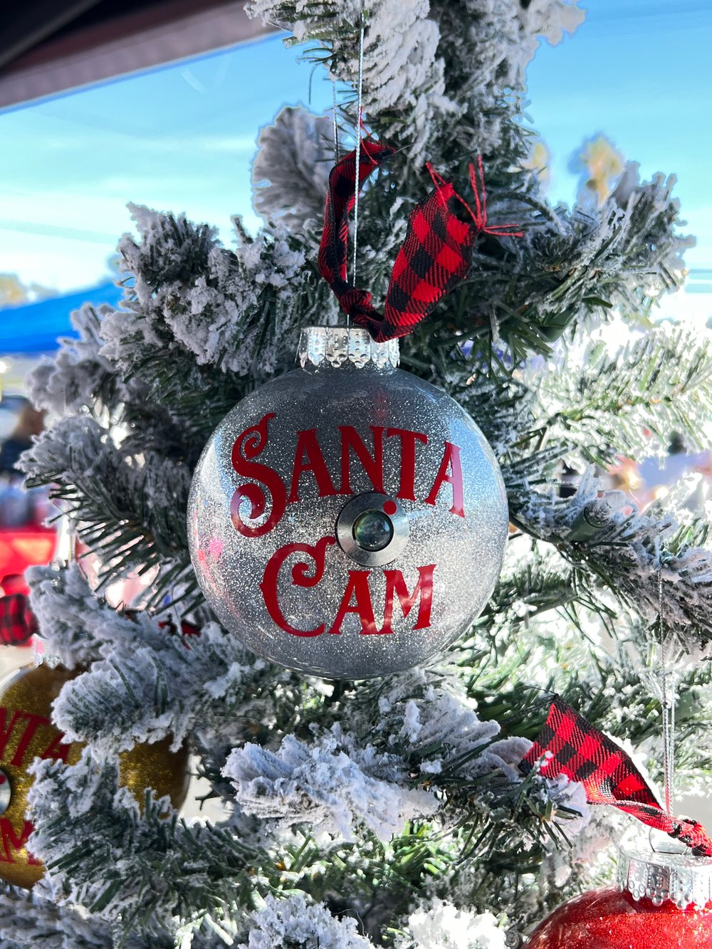 Santa/Elf Cam